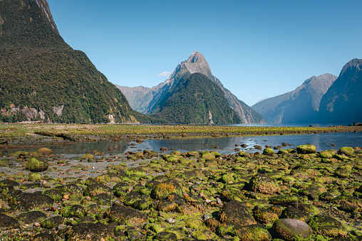 Lake and mountains in Milford Sound, South Island, New Zealand
