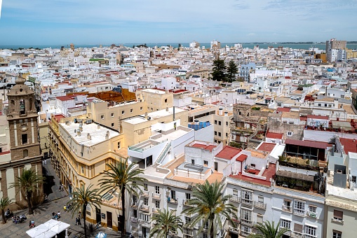 Low angle view of old residential buildings and palm trees in tourism district of Malaga in Calle Puerta del Mar at Andalusia, Spain