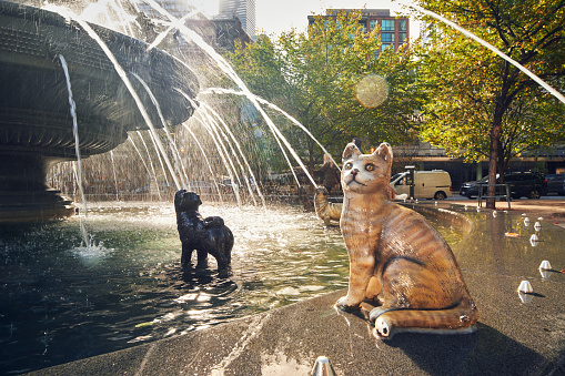 Toronto, Canada, 10th of October, 2023. This fountain paces in Berczy Park has 27 dog sculptures around, in and on the fountain, each spraying water from its month. This is the only cat statue in the fountain