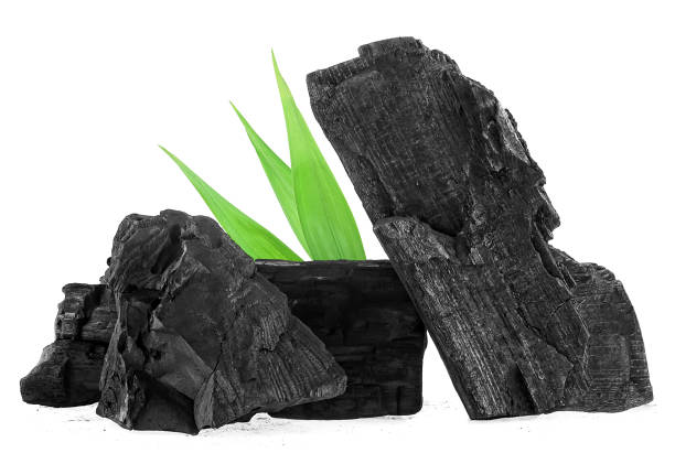 natural wooden charcoal with bamboo leaves isolated on a white background. hard wood charcoal powder has medicinal properties. - branch plant part ストックフォトと画像