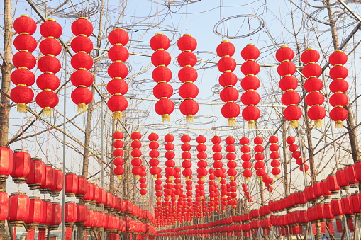 Red lanterns in the park