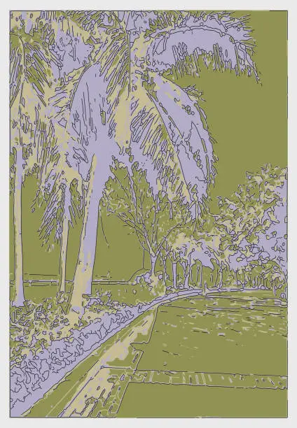 Vector illustration of outline printmaking style Palm tree in street side scene illustration background