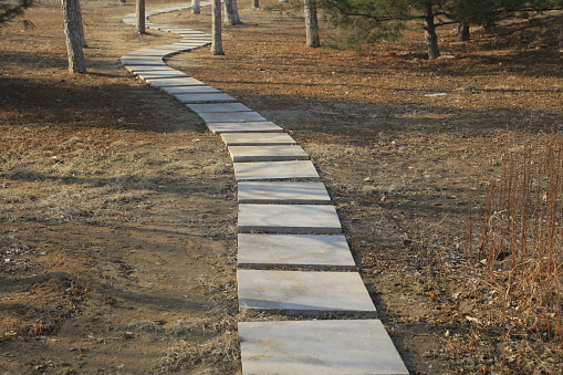 Stone path in the park