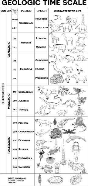 геологическая шкала времени - precambrian time stock illustrations