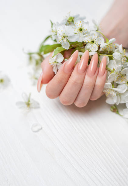 istock Elegant pastel pink natural manicure. 1924790689