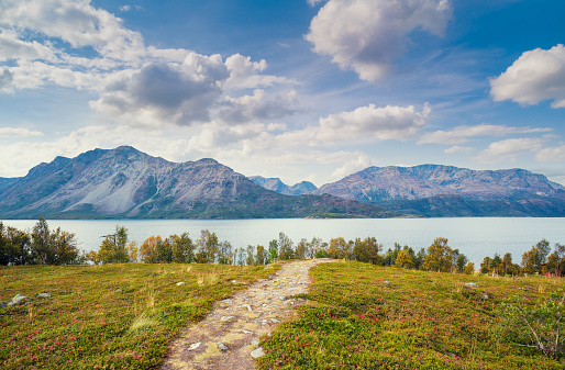 Panoramic view of the fjord. The dirt road to the fjord. The beautiful nature of Norway