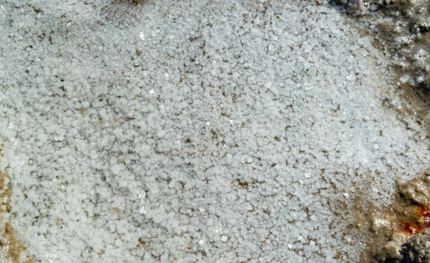 istock Crystallized salt on a muddy bottom in the upper Kuyalnitsky estuary 1924824951