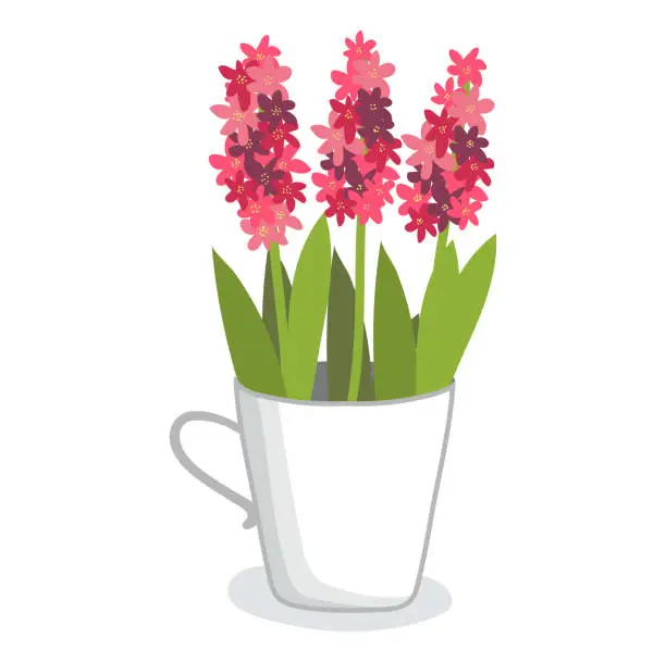 Vector illustration of Pink and burgundy orchids in a white cup, modern home decor. Simple elegant flat design of flowers, desk ornament vector illustration