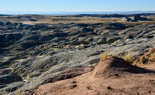 Panorama erosive multi-colored clay in Petrified Forest National Park, Arizona