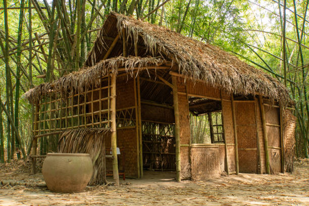 istock A tropical house in Vietnam countryside 1924870102