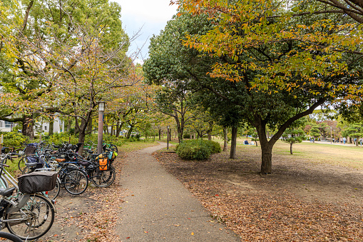 2023-11-11 Osaka, Japan. Scenic Pathways and Bicycles in Osaka Castle Park