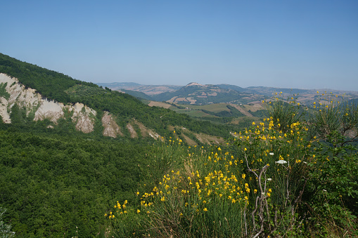 Summer landscape near Pescopagano, Potenza province, Basilicata, Italy