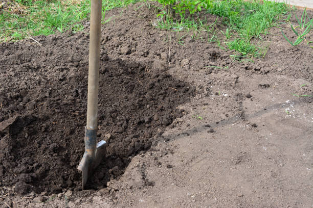 istock digging hole in the garden with shovel 1924883727