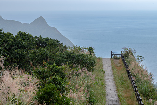 Gorgeous trail building on the edge of hillside, like the way lead to the ocean, with miscanthus in the foreground, in Jinguashi, New Taipei City, Taiwan.