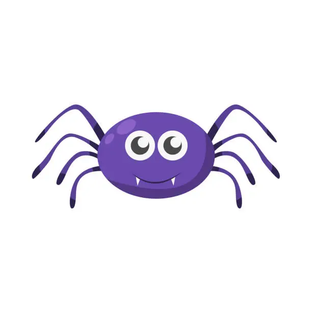 Vector illustration of spider