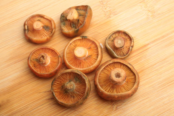 ingredients for spanish autumn rice with mushrooms and pork jowl meat