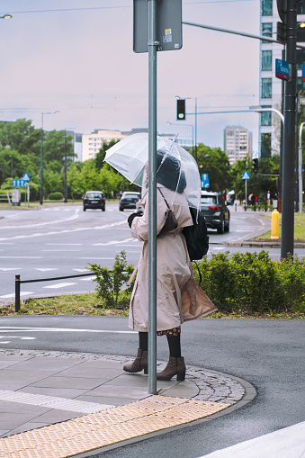 woman under an umbrella stands at a traffic light