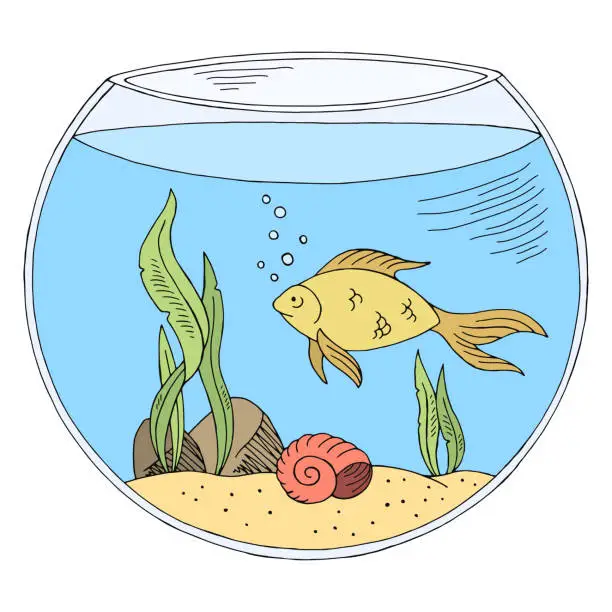 Vector illustration of Aquarium graphic color isolated sketch illustration vector