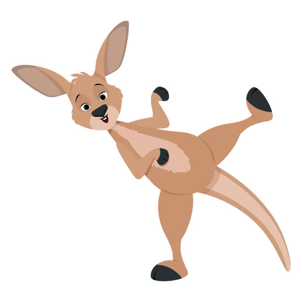 Kangaroo Funny cartoon brown kangaroo with raised leg joey stock illustrations