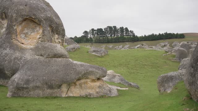 Elephant Rocks on green pastures New Zealand
