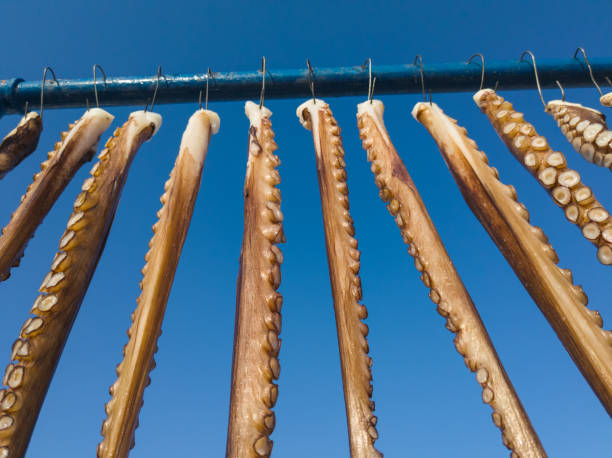 istock octopus tentacles being dried in the sun 1924970552