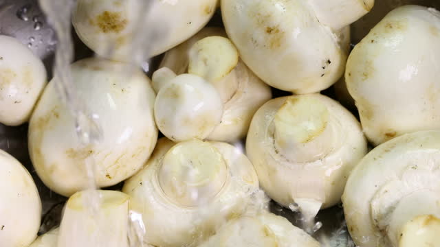 Champignons, white mushrooms under water