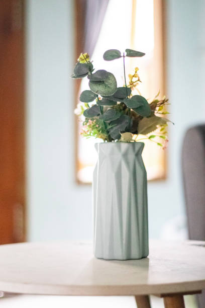istock decorative plastic flower pots inside the house on the table 1924990170