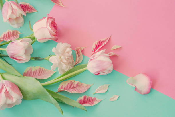 istock beautiful pink spring flowers on blue background 1924999315