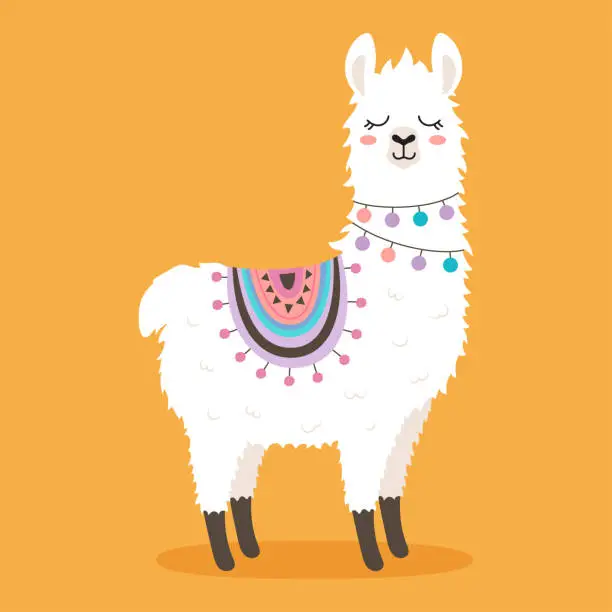 Vector illustration of funny llama in cartoon style