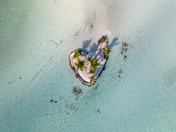 istock Taha'a - The Love Island (Motu Tautau) 1925025673