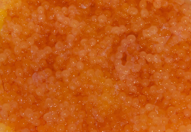 istock A close-up of many fresh pike roe 1925027235