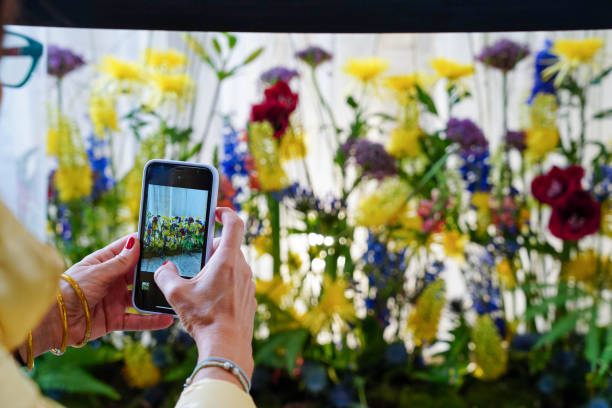 istock a mobile phone taking a photo of some flowers in spring 1925041921