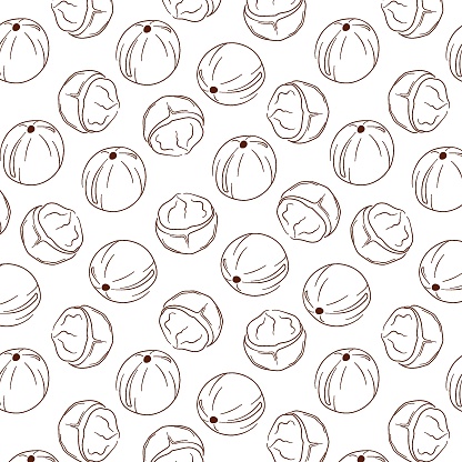 Macadamia seamless pattern in line art style. Nuts design for package, merch, wallpaper, menu. Vector illustration isolated on a white background.