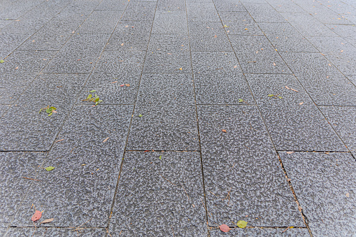 Gray tiles on the ground with fallen leaves