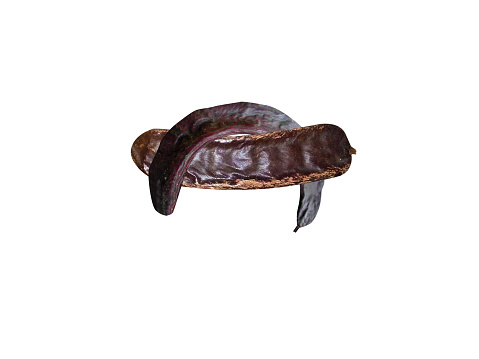 carob fruits and seed or Ceratonia siliqua, is used for human and animal nutrition