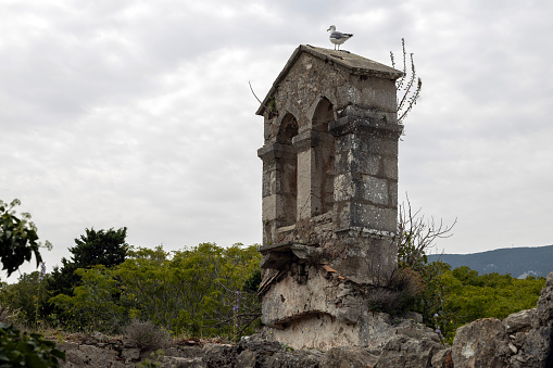 Seagull Sitting on top of Bell Cote of Ruins of ancient Monastery of Saint Marry of the Angels in Croatian town of Osor, Cres Island