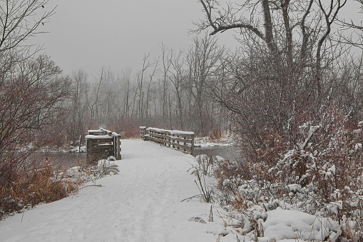 Moody Winter's day landscape of snow falling in a forest of bare trees and on a hiking trail crossing a small wooden footbridge near Kewaskum, Wisconsin.