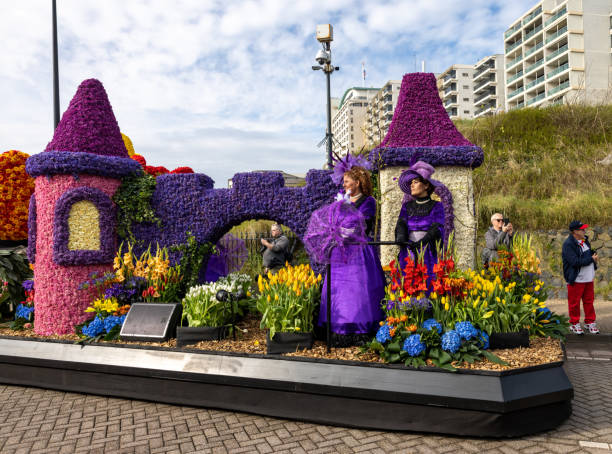 The traditional flowers parade Bloemencorso from Noordwijk to Haarlem in the Netherlands. Noordwijk, Netherlands - April 22, 2023: Spectacular flower covered floats in the Bloemencorso Bollenstreek the annual spring flower parade from Noordwijk to Haarlem in the Netherlands. hyacinth red stock pictures, royalty-free photos & images