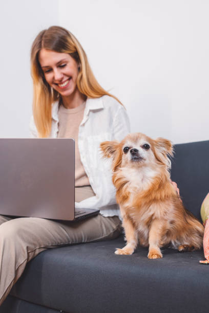 istock A young woman works from home 1925169121