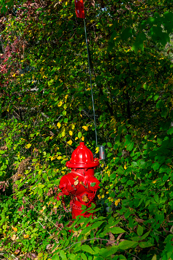Fire Hydrant near Mirror Lake, Lake Placid, Lake Placid, New York State.