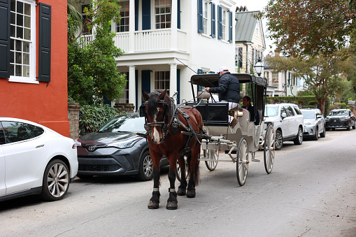 Charleston, South Carolina USA November 12, 2023: A view of a man in a Carriage horse in Charleston, South Carolina