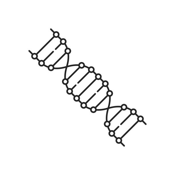 schwarzes dünnes liniensymbol für einfache dna-sequenzierung - genetic modification science research illness stock-grafiken, -clipart, -cartoons und -symbole