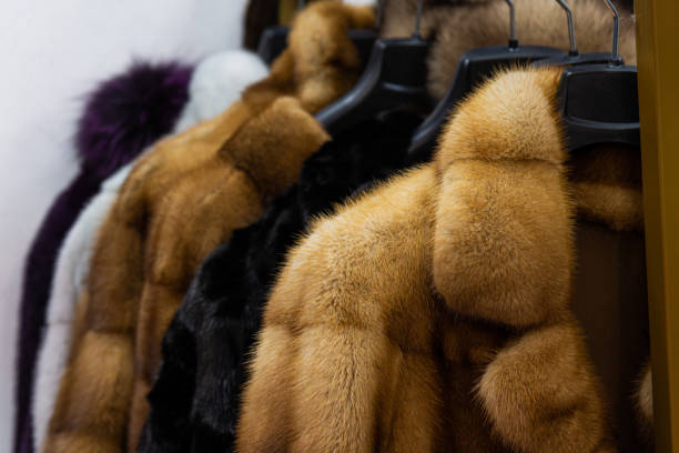 istock Women's winter luxury fur coat 1925216085