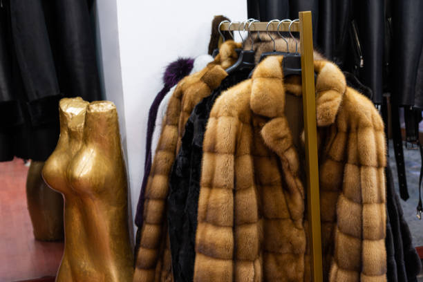 istock Women's winter luxury fur coat 1925216086