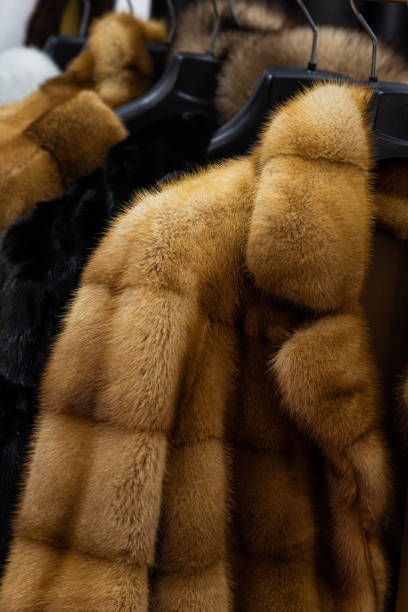 istock Women's winter luxury fur coat 1925216094