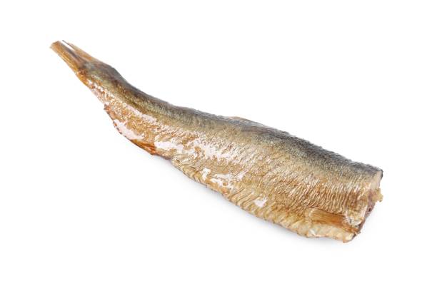 istock One tasty canned sprat isolated on white 1925217168