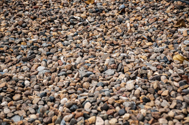 Background of pebbles and stones in the foreground