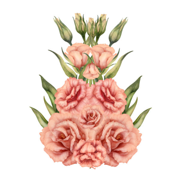 Watercolor pink bouquet with eustoma flowers, leaves and buds in a trendy peach fuzz color for Valentine's Day, horoscope, alchemy, magic, Halloween, health amulet, card, label, postcard, stickers Watercolor pink bouquet with eustoma flowers, leaves and buds in a trendy peach fuzz color for Valentine's Day, horoscope, alchemy, magic, Halloween, health amulet, card, label, postcard, stickers. drawing of a green lisianthus stock illustrations