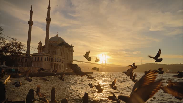 SLO MO Sunset Serenity: Pigeons Soar from Istanbul's Coastal Promenade to Ortakoy's Majestic Mosque and Bridge #GoldenHourSerenade #OrtakoyVista #IstanbulSunset