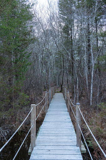 View of the wooden bridge at Cranberry Bog County Park in Riverhead,  Suffolk County,  Long Island,  NY.